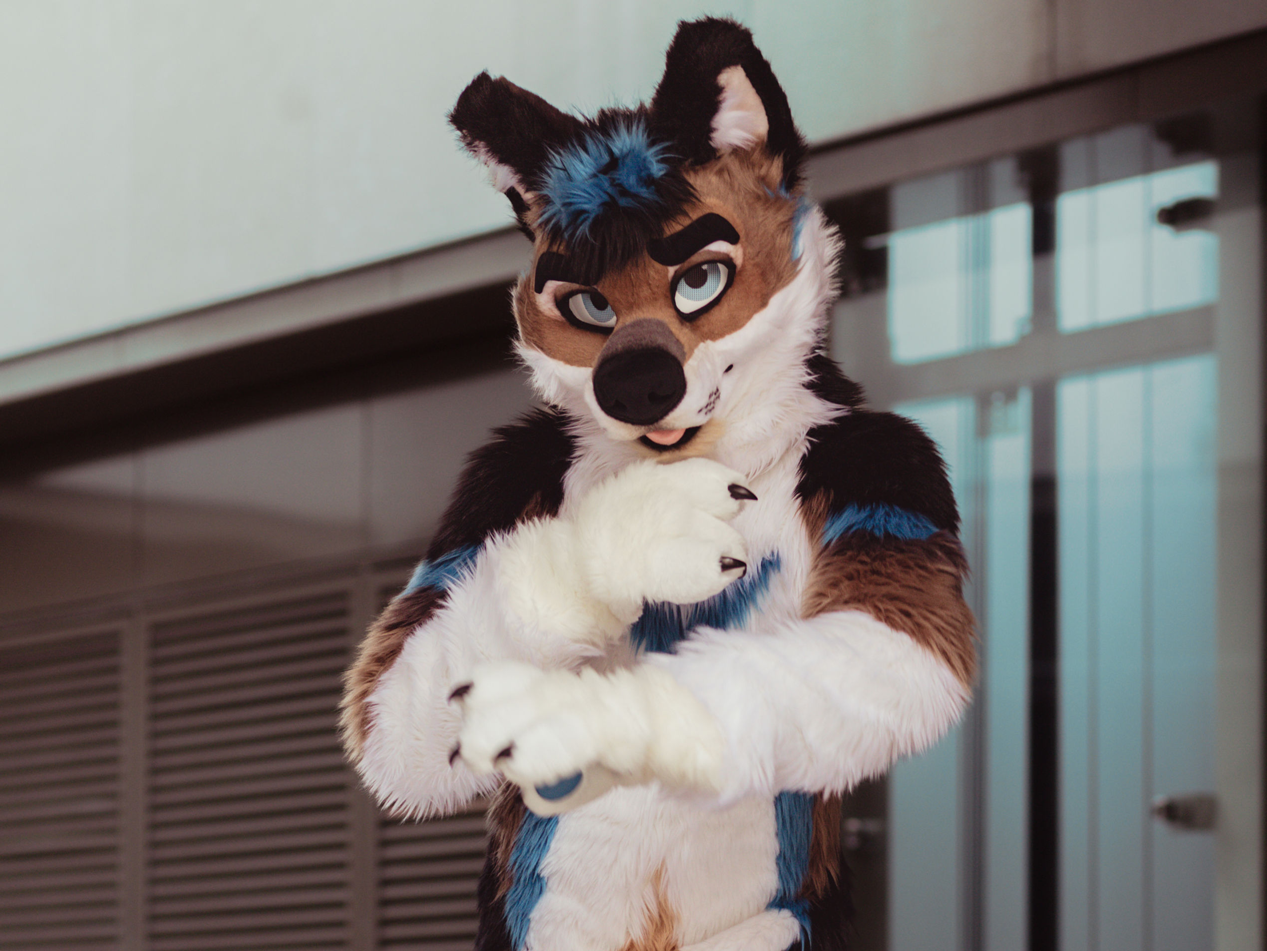 Yamazaki in full fursuit